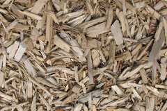 biomass boilers Llanwenog